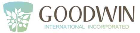 Goodwin International Logo